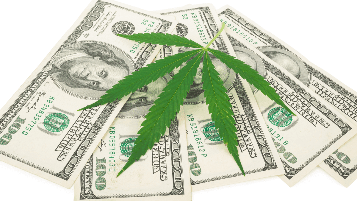El cambio en el estatus de la cannabis en EE. UU. abre nuevas oportunidades de negocio