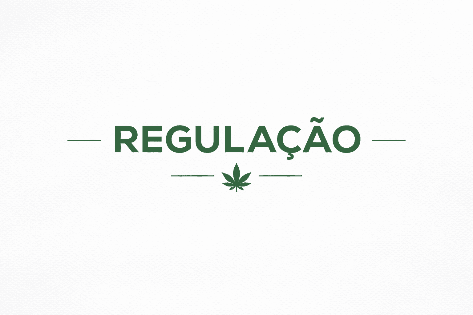 Sandbox da cannabis expõe divergências sobre regulação e acesso no Brasil
