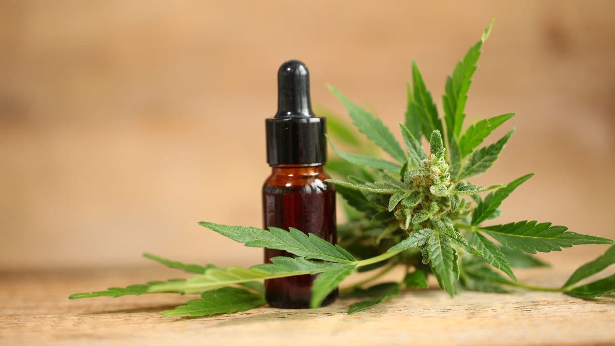 Anvisa proíbe oito produtos de cannabis por falta de registro