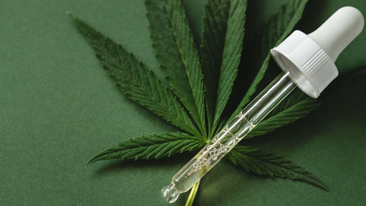 Learn more about cannabis