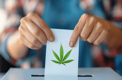 Imagem da noticia: La ausencia del tema cannabis medicinal en los debates sobre salud pública