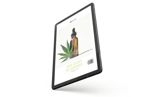 4º Guia Sechat da Cannabis será disponibilizado, nesta quinta, para download gratuito
