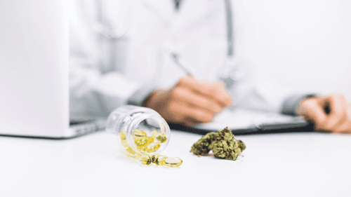 Regulaciones específicas y evidencias científicas emergentes respaldan a los dentistas a la hora de prescribir cannabis