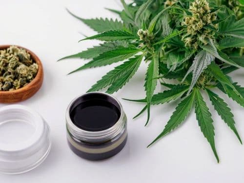 Beabá da cannabis medicinal no Brasil