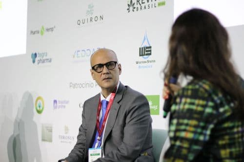 Imagem da noticia: El crecimiento de la cannabis medicinal: innovaciones, estudios y regulación en Brasil