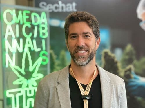 Benefícios da cannabis para atletas de alta performance
