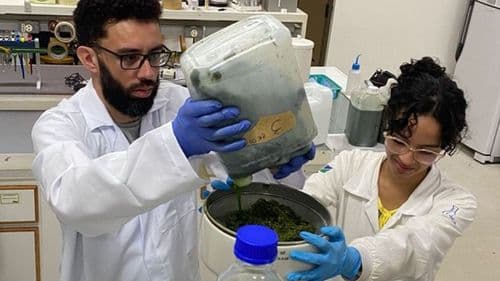 UnB y asociación firman alianza para avanzar en la investigación con cannabis medicinal