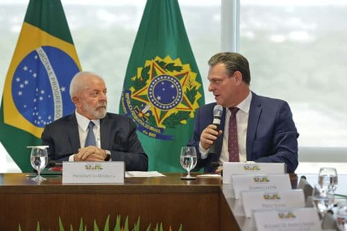 Imagem da noticia: Government publishes rules for the importation of Cannabis sativa seeds