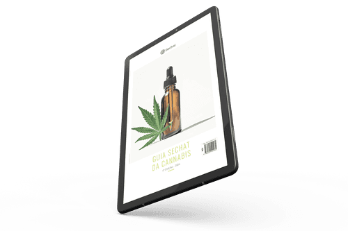 4ª edição do Guia Sechat da Cannabis será lançada em novembro