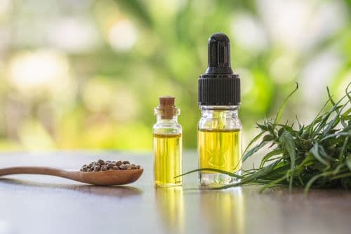 Imagem da noticia: Efeito Entourage: potencial terapêutico mais amplo da cannabis