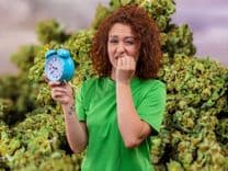 How Long Does the Effect of Marijuana Last?