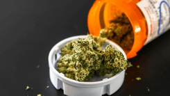 EE. UU. retiran pre-rolls de cáñamo tras niveles elevados de THC