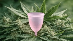 La cannabis medicinal se consolida como aliada en el alivio de la cólica menstrual
