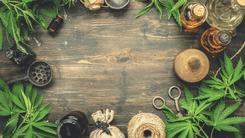 Terapias integrativas con hierbas tradicionales y aceite de cannabis son analizadas en un estudio sobre insomnio crónico