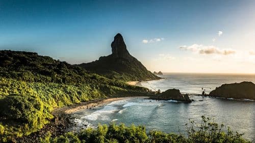 Mutirão leva cannabis medicinal a crianças autistas em Fernando de Noronha