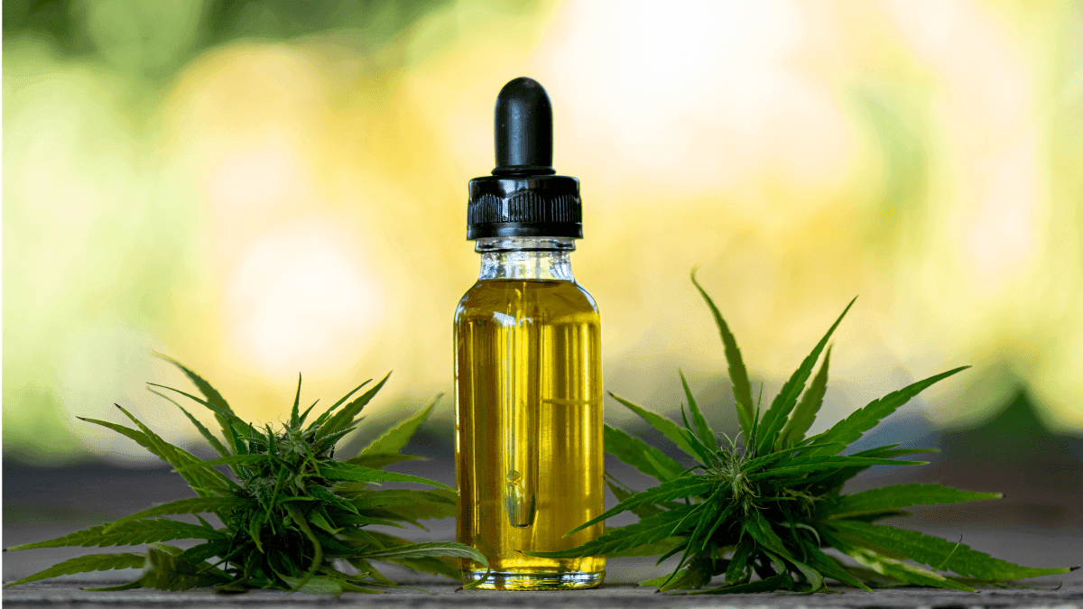 Cannabis: o que é e como pode ser utilizada