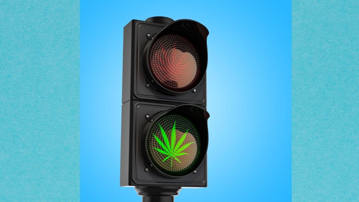 Por que a desinformação ainda é barreira para a cannabis medicinal no Brasil