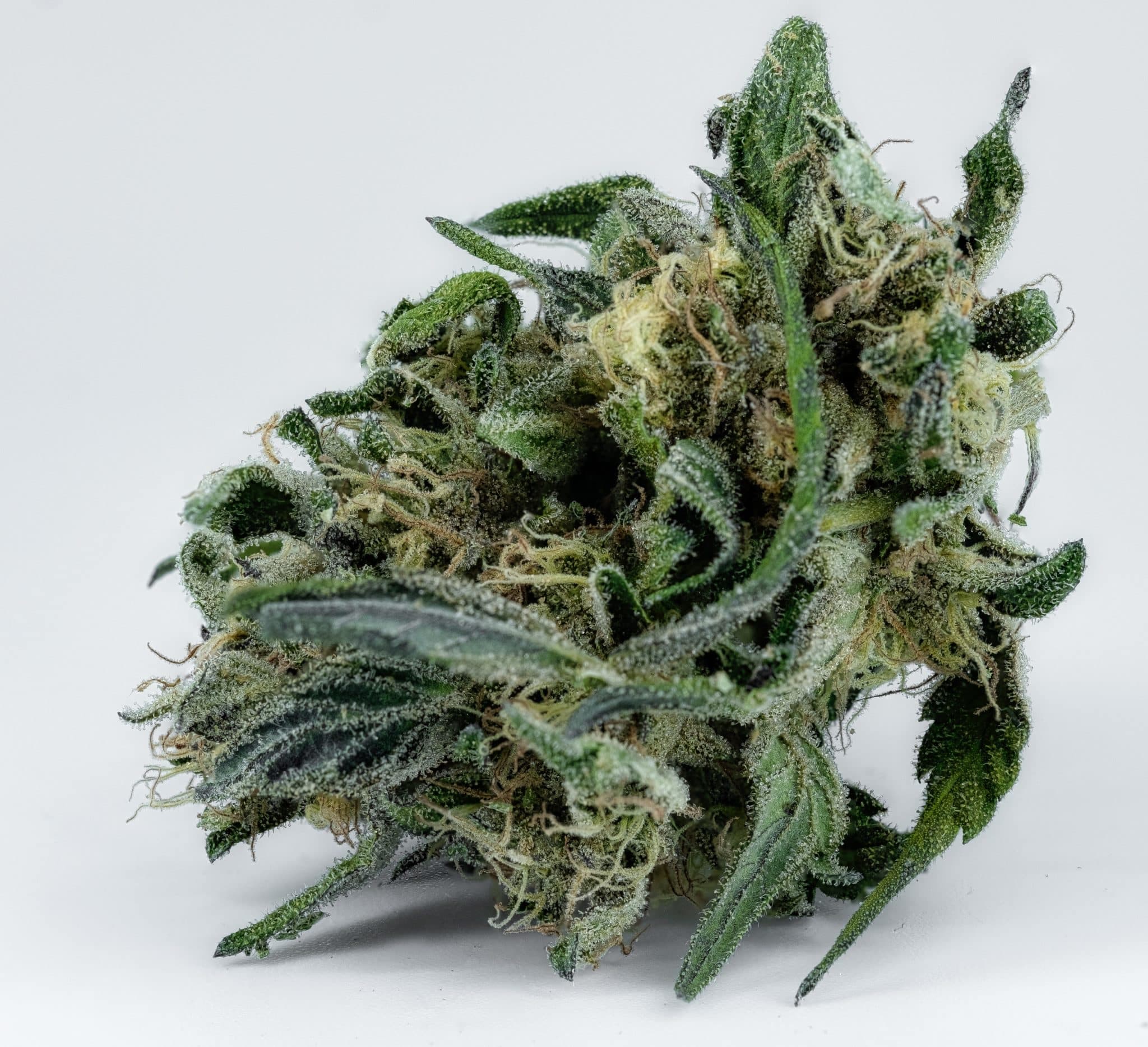 Niveles elevados de metales tóxicos en la marihuana: una alerta para la salud