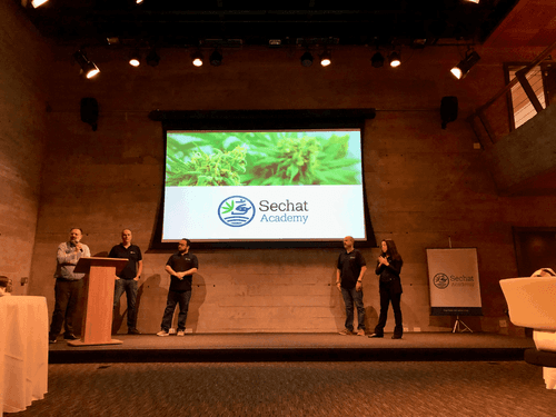 Imagem da noticia: El primer contacto del bebé con los cannabinoides ocurre a través de la leche materna
