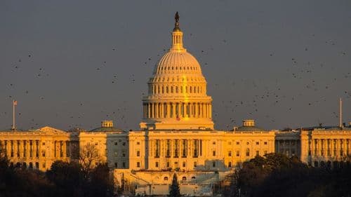Cannabis no Congresso? Declaração de parlamentar chama atenção nos Estados Unidos