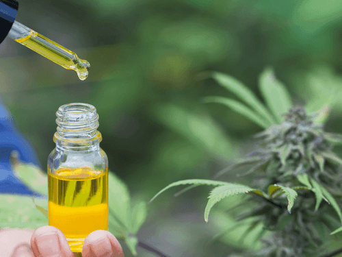 História da cannabis medicinal no Brasil
