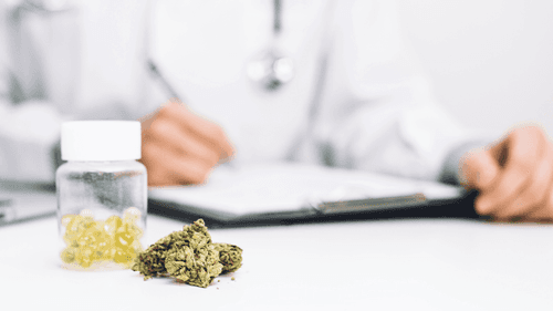 Imagem da noticia: Cannabis para la enfermedad de Crohn: revisión sistemática señala eficacia en la mejora