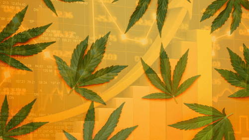 El mercado de cannabis medicinal en Brasil tiene una proyección de 1.000 millones de R$ hasta finales de 2025