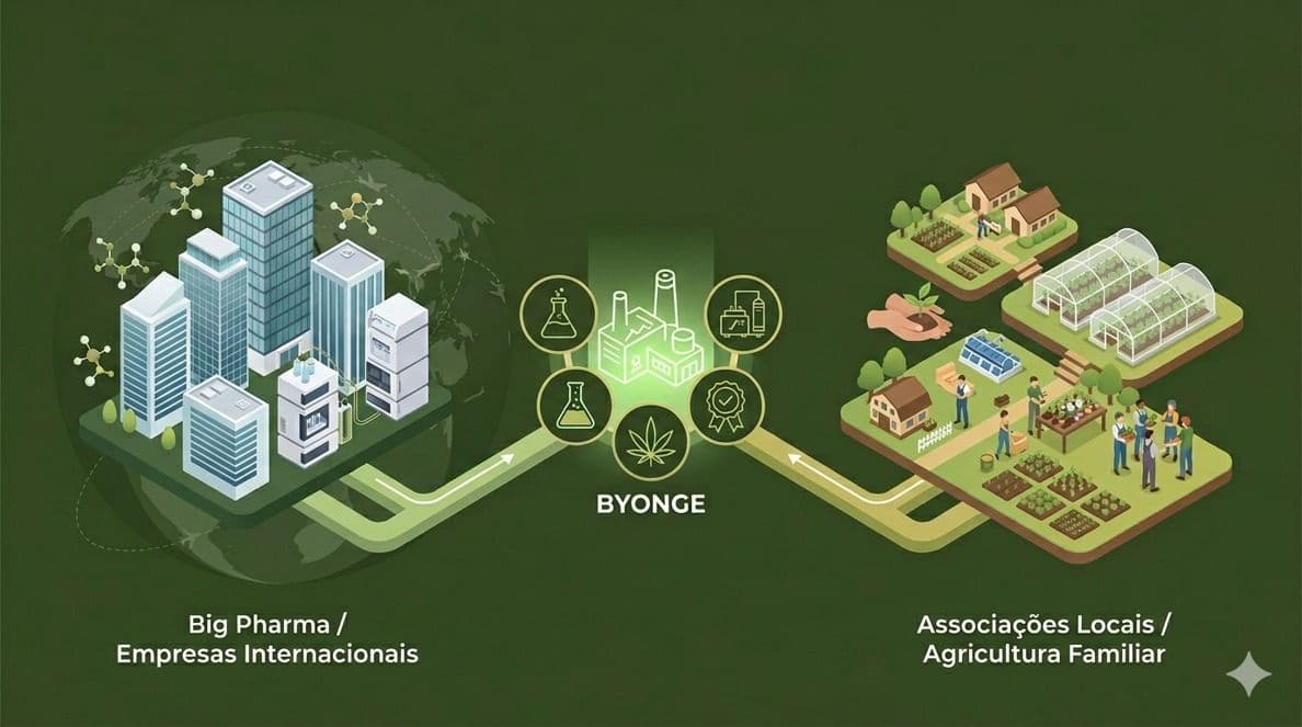 BYONGE abre parcerias para avançar no melhoramento genético e desenvolvimento de novas moléculas de cannabis no Brasil